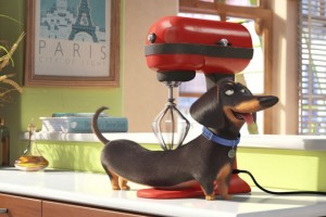 TheSecretLifeofPets_article_story_large-640x426